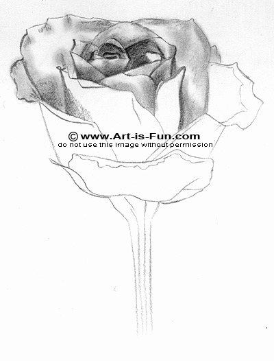 Featured image of post Pencil Realistic Pencil Rose Flower Drawing