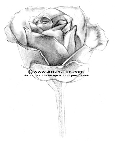 How To Draw A Rose Learn To Draw Rose Pencil Drawings Art Is Fun