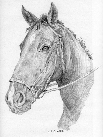 https://images.squarespace-cdn.com/content/v1/5511fc7ce4b0a3782aa9418b/1428941436609-H23SEALAK2ANZTRL0W5D/learn-to-draw-a-horse.jpg