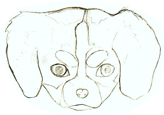 puppy drawing outline