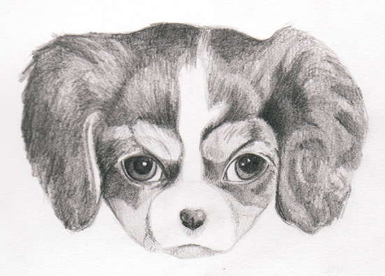 How to Draw a Puppy: Learn How to Draw Puppies! — Art is Fun
