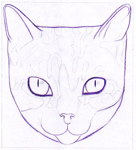 Outlining the cat with violet