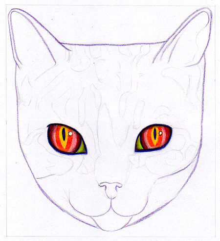 Featured image of post Cat Drawing Easy With Color / Cat with bright highlights in the eyes.