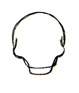 在颧骨下面，画一条宽u形线，连接两个颧骨，越过第4步画的线。这将形成牙齿的顶部。