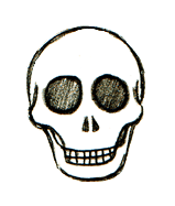 cute skull drawing easy step by step