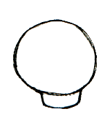 将你在步骤2中画的两条线连接起来，用一条平缓的曲线平行于圆的底部。这是头骨的下颚!