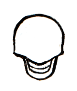 在步骤4中绘制的线上，绘制平行线以形成牙齿的中间。