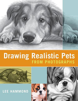 Drawing Realistic Pets From Photographs Step By Step Art Lessons