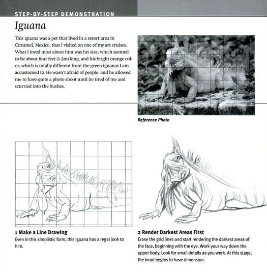 Как нарисовать игуану