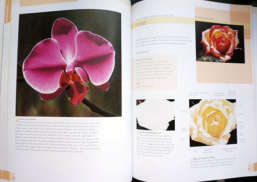 On the left you can see her finished colored pencil painting of an orchid - hard to believe that's not a photo! On the right you can see the begining of her rose lesson.