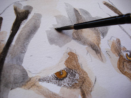Mixed Media Tutorial: Learn how to Combine Colored Pencils and Watercolors  — Art is Fun