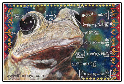 art and nature essay Cosmic Frog - 4" x 6" - Prismacolor Colored Pencils on paper