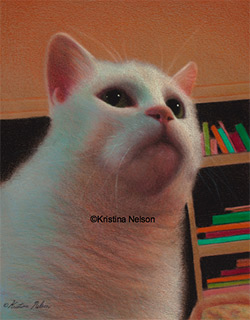 Crayon Drawing of a Cat