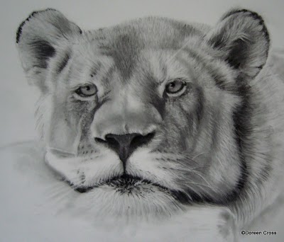 pencil drawings of animals - Clip Art Library-saigonsouth.com.vn
