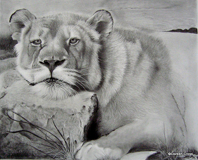 Featured image of post Drawing With Pencil Animals / Introduction to animal drawing how do you draw what you don&#039;t know?