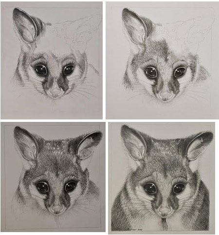 Detailed Pencil Drawings of Animals and People by Doreen Cross — Art is Fun