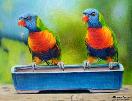 Doreen's finished colored pencil drawing of lorikeets