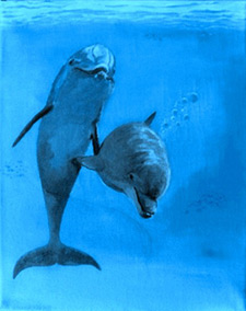Dolphin Painting by Alan Minshull