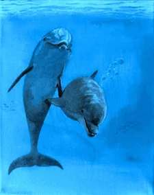 Dolphin Painting by Alan Minshull