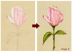 5 Tips For Starting In Hard Pastel Drawing – Anne Kostecki Design &  Illustration