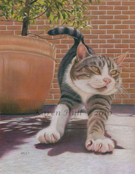 Karen Hull画的可爱的猫