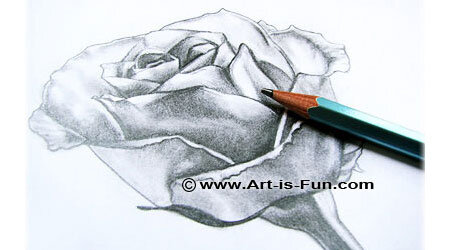 art and nature essay How to draw a rose