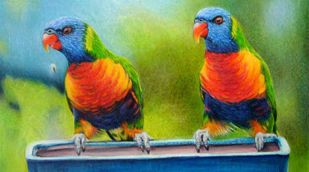 art and nature essay Birds drawing by Doreen Cross