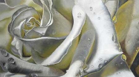 art and nature essay Oil painting of a white rose by Delmus Phelps