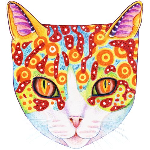 cute-and-colorful-cosmic-cat.jpg