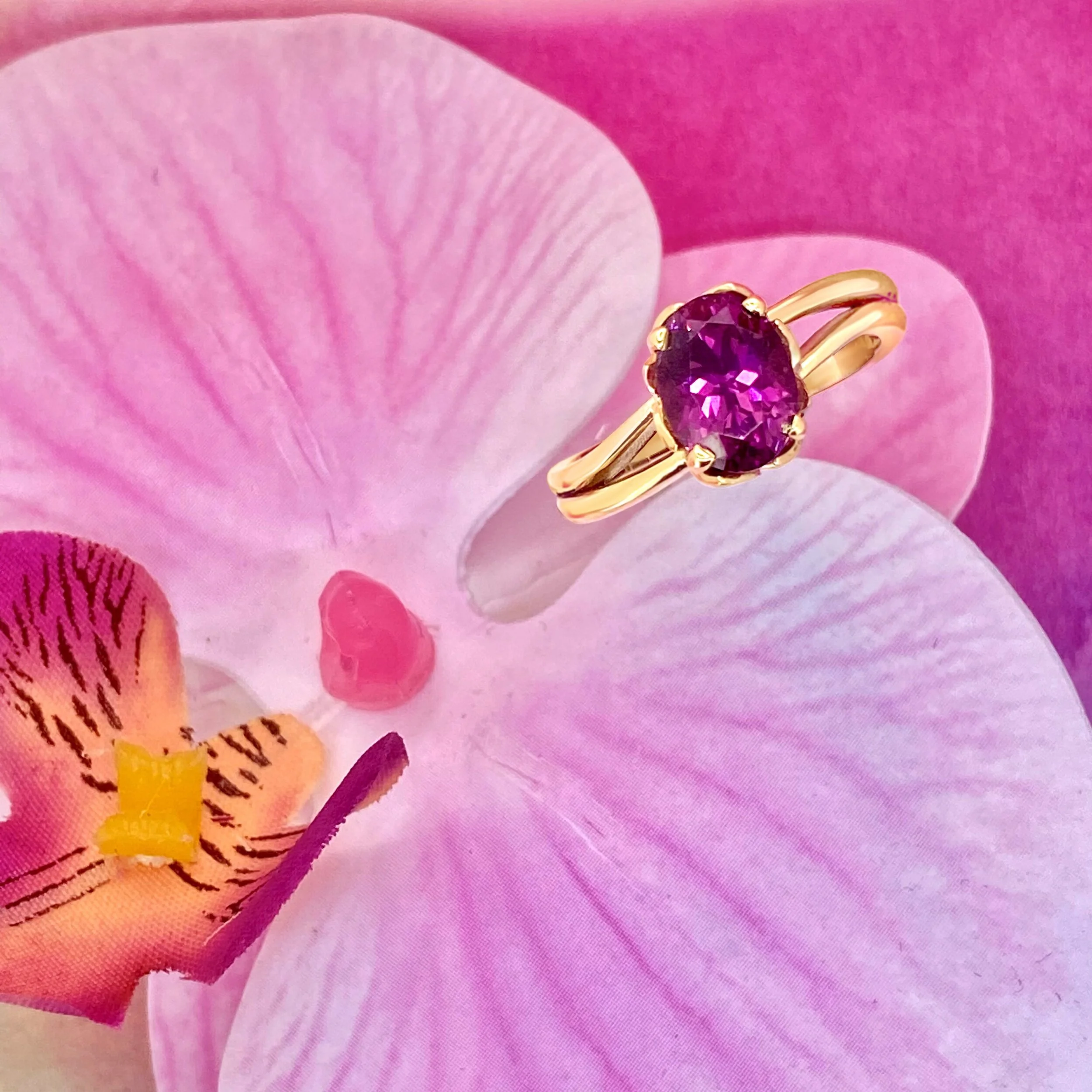 70721DE3-A5D9-4F3A-96BB-75CA2DC7AF2D