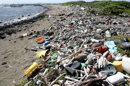  photo greenhome.org Hawaii's Plastic Beach 