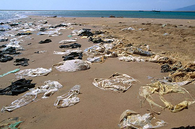  photo blogs.ubc.ca plastic bags wash ashore and float in the ocean. 