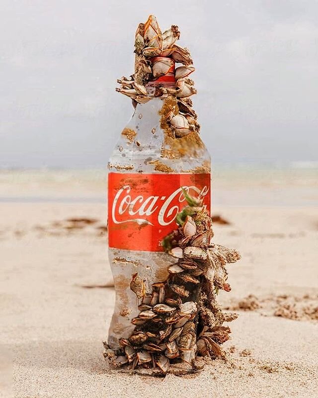⭐BREAKING NEWS⭐ Coke and Pepsi are getting sued for *LYING* about recyclability. ⁠⠀
⁠⠀
⁠Earth Island Institute, right here in NorCal, is taking Coca-Cola and 10 other major plastic polluters to COURT! 👩&zwj;⚖️⁠⠀
⁠⠀
Who's ready for this showdown!? On