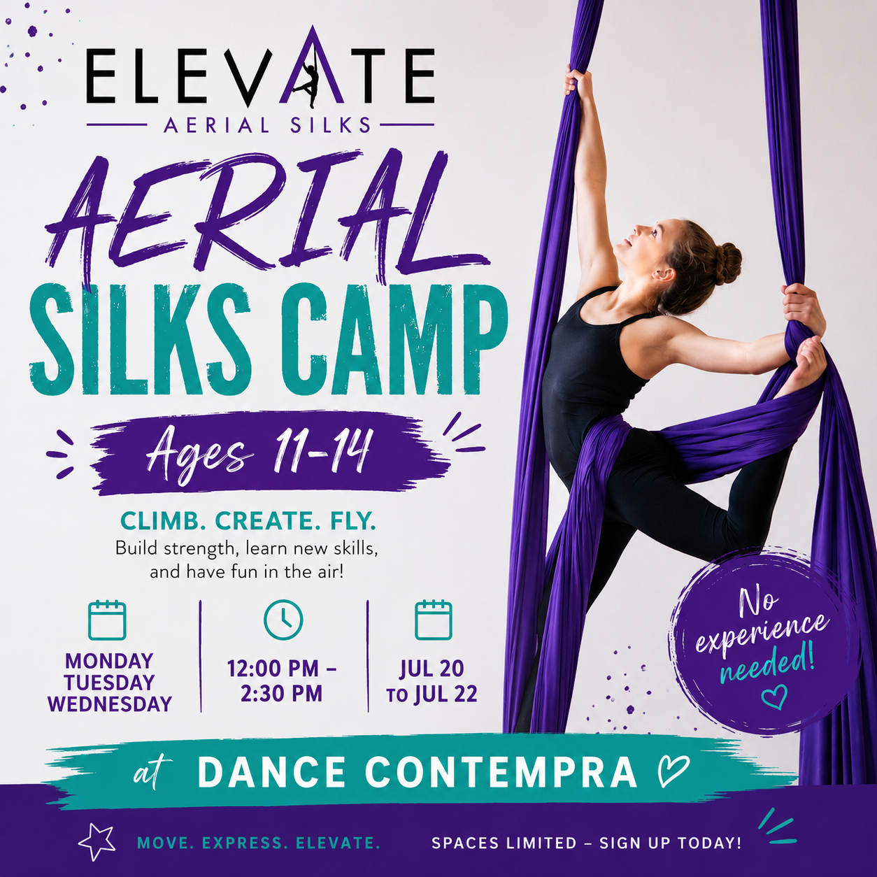elevateaerialsilksjuly.png