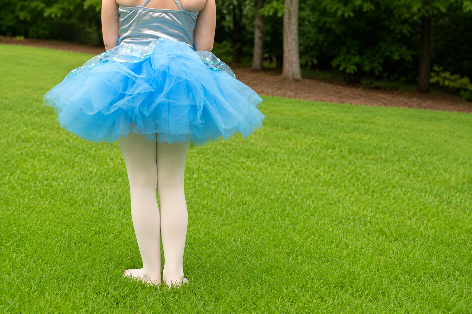 ballet dancer.png