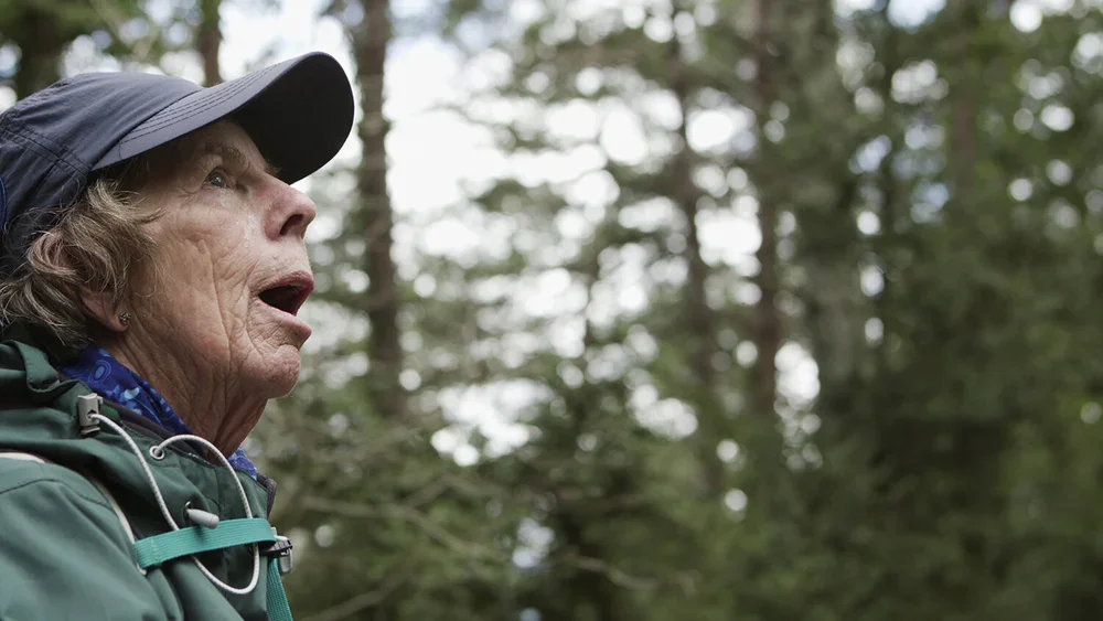 Noel Smyth - Camino Skies.webp