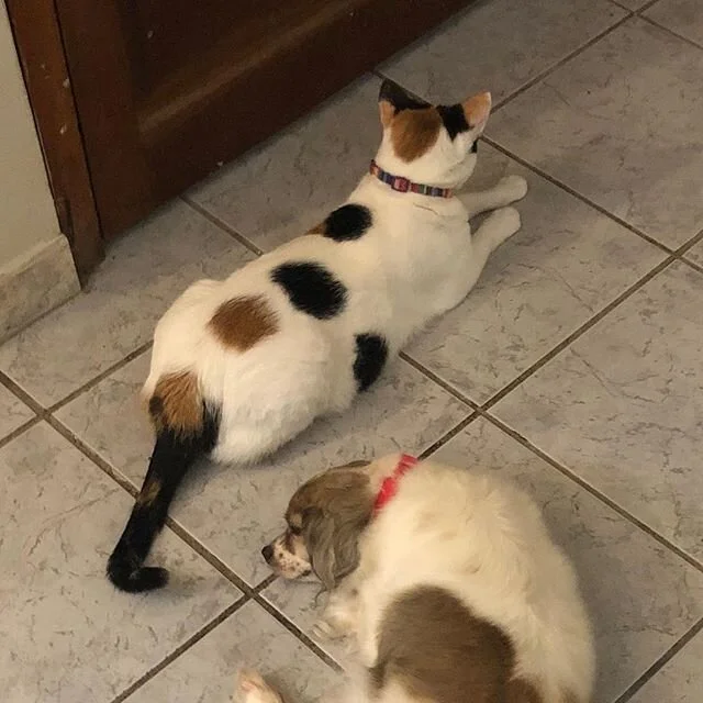 waiting for the door to open