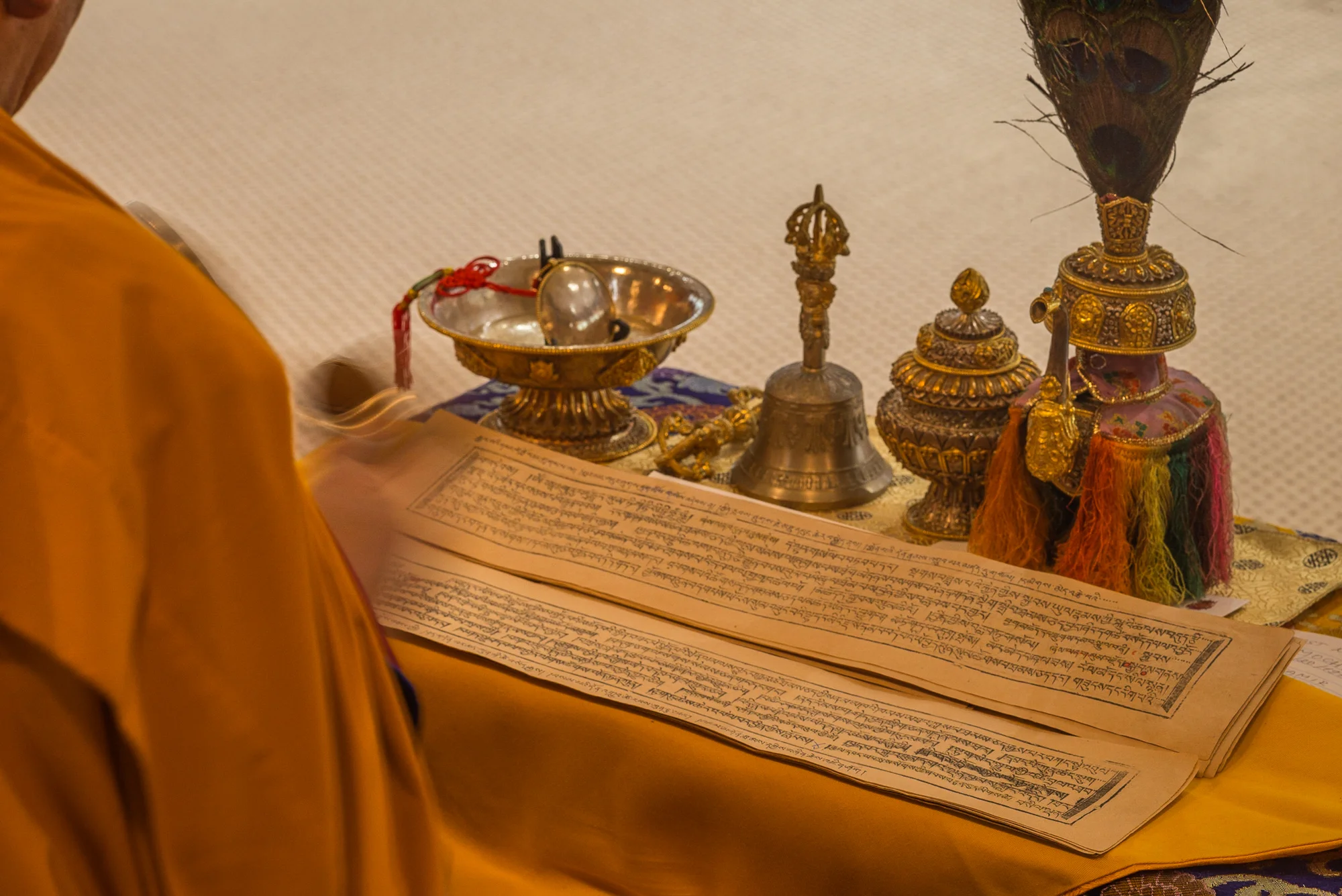 Arjia Rinpoche-7.jpg