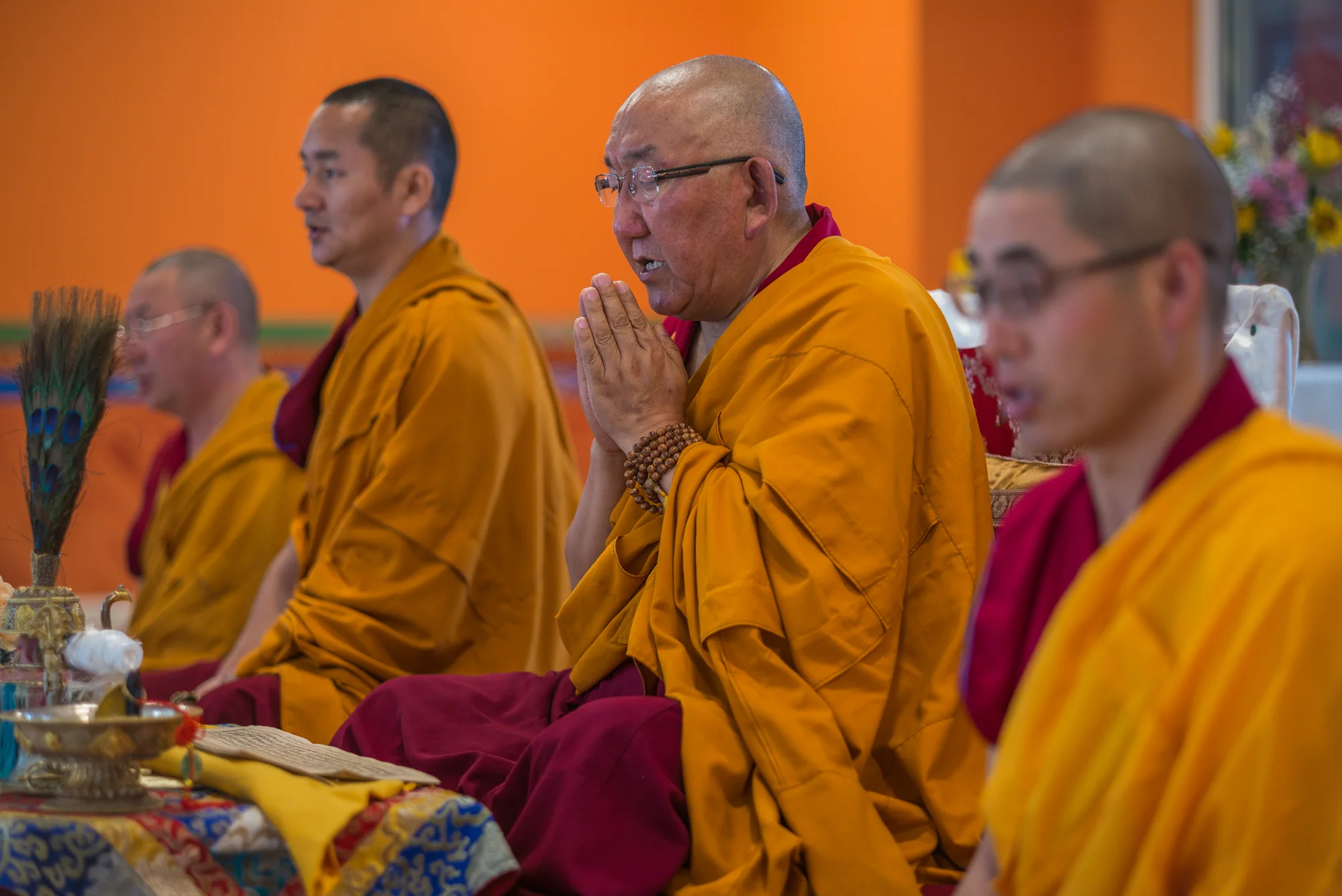 Arjia Rinpoche-13.jpg