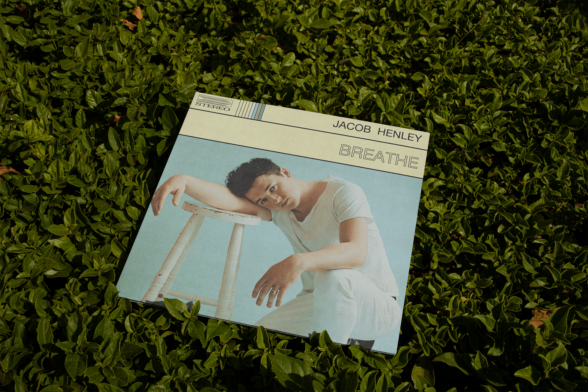 JH SINGLE COVER 1 on leaves-min.png
