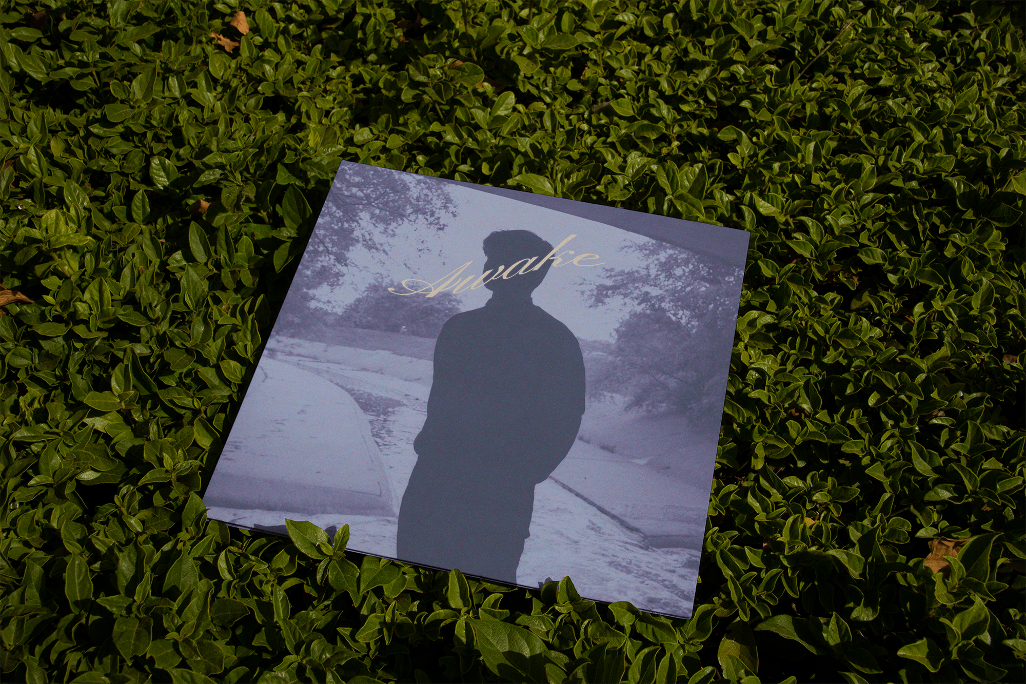 LW SINGLE COVER 1 on leaves-min.png