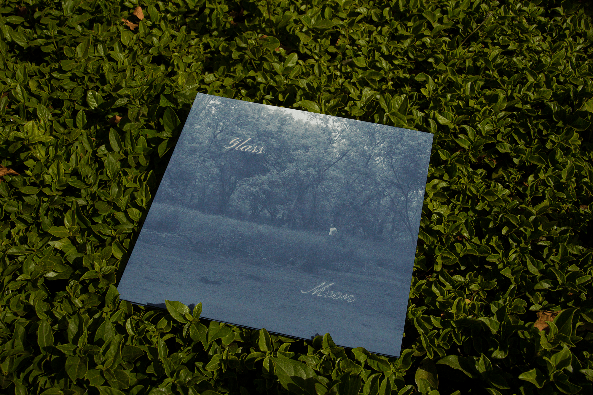 LW SINGLE COVER 2 on leaves-min.png