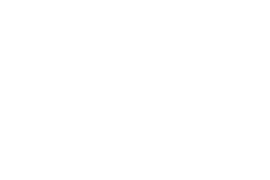 Zara Holdings Inc.