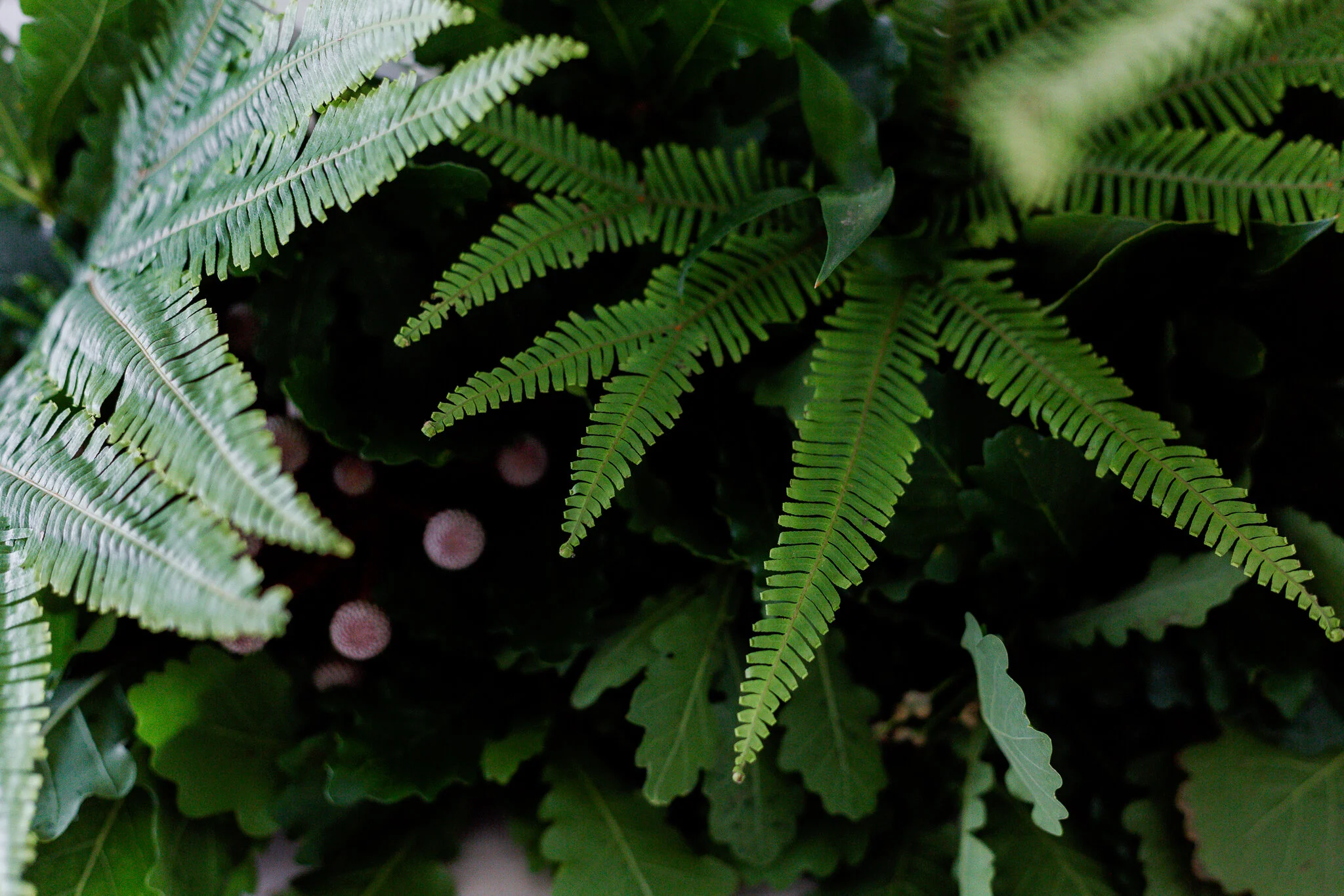 JAG_11-17 Delaterre Gourmet Escape_076_w.jpg