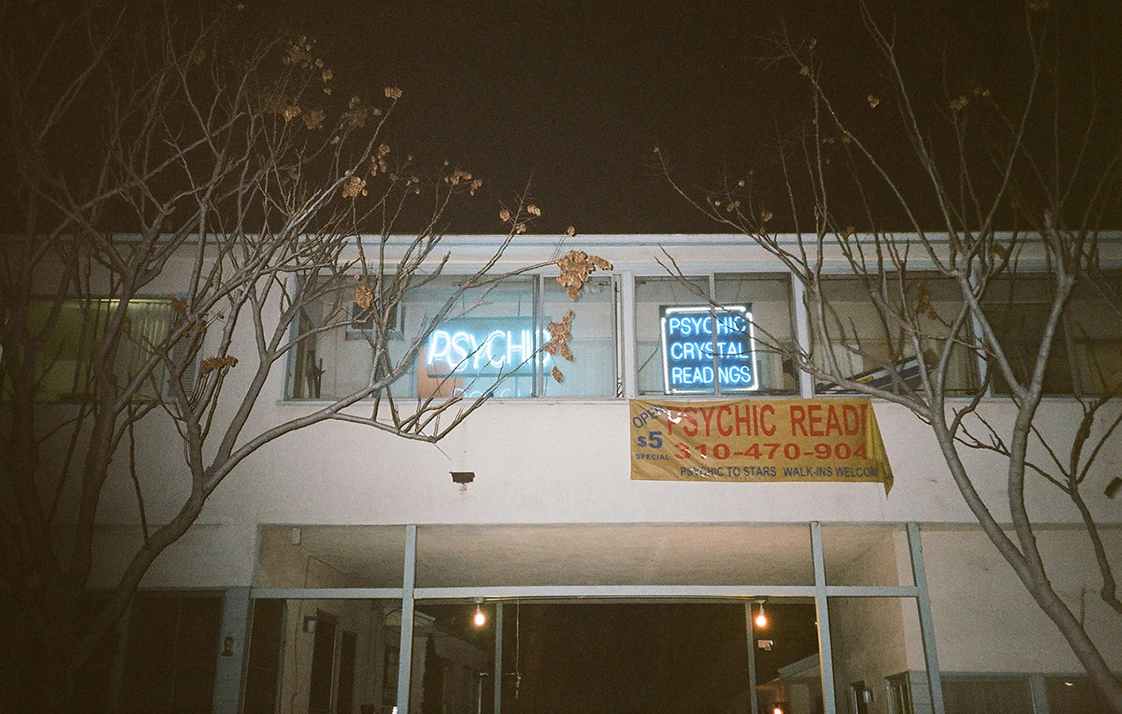 web-41300007.jpg