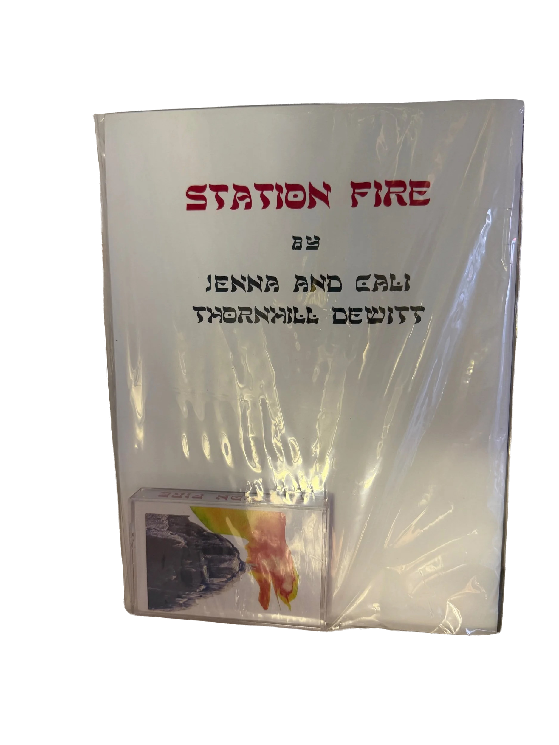 Station Fire by Jenna and Cali Thornhill Dewitt