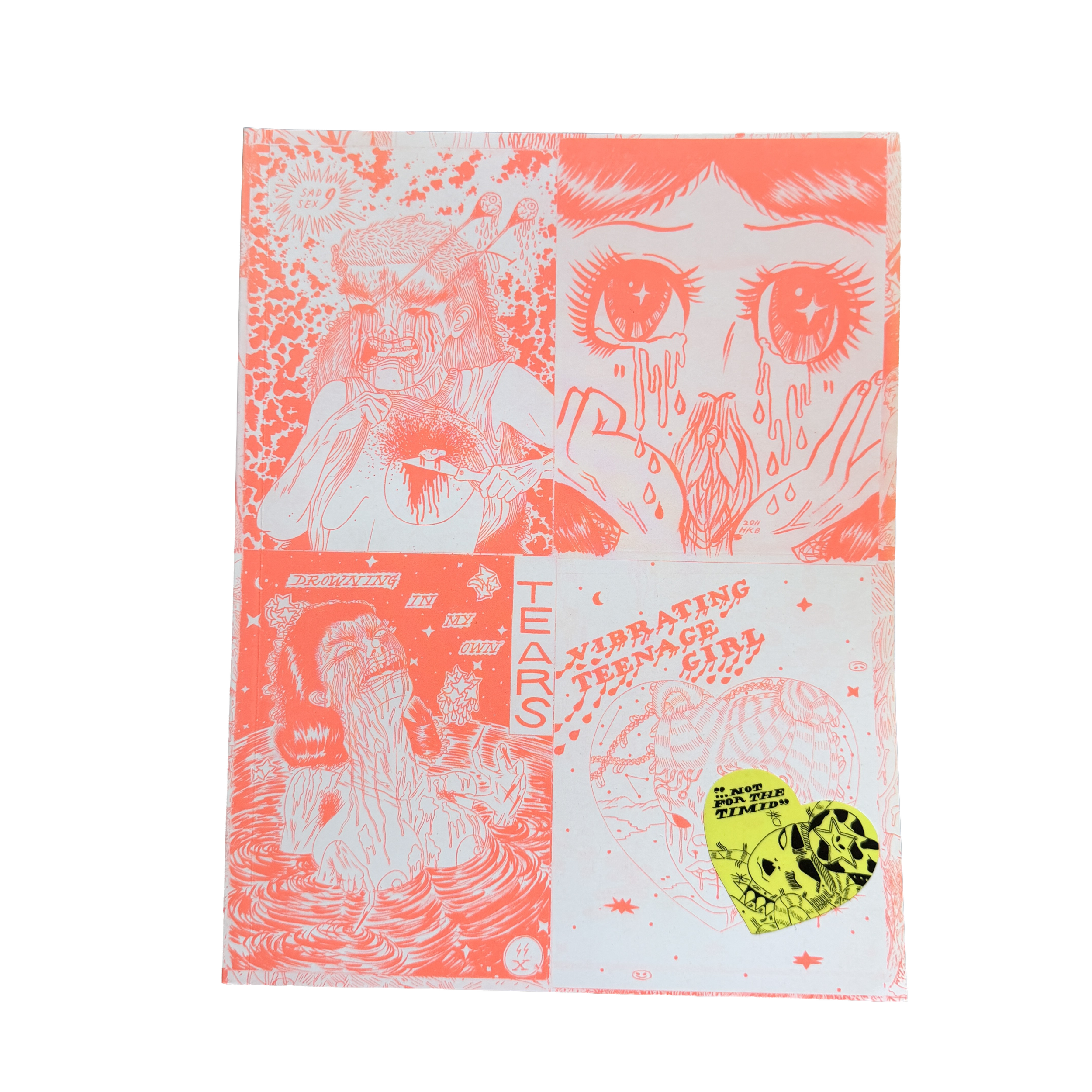 Zines 2009-2019 by Heather Benjamin Signed First Edition