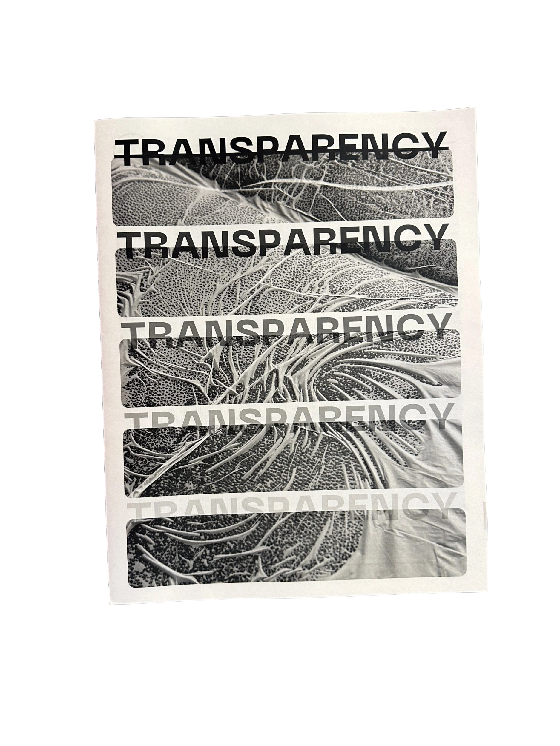 Transparency by Azize Ngo