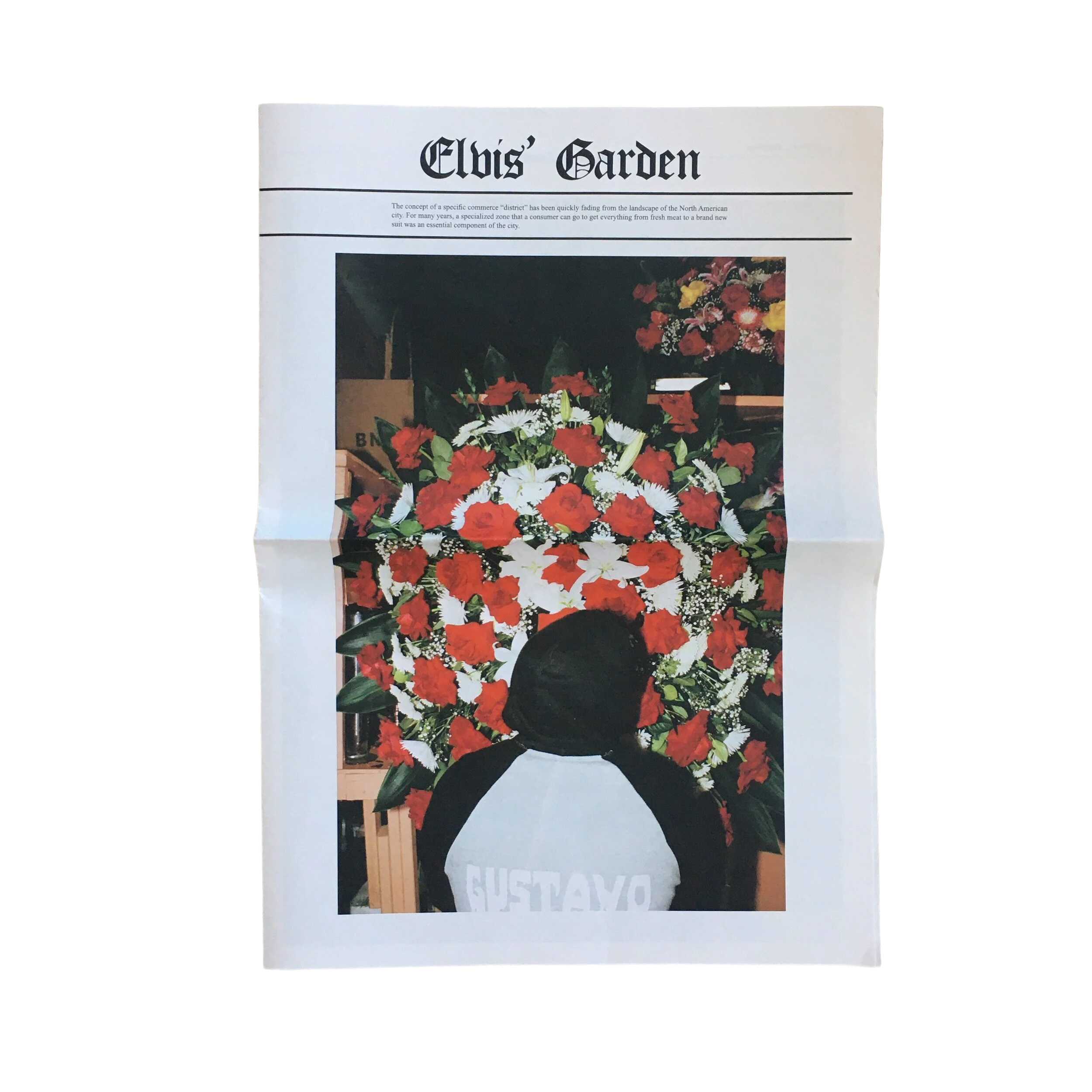 Elvis' Garden by Sean Maung