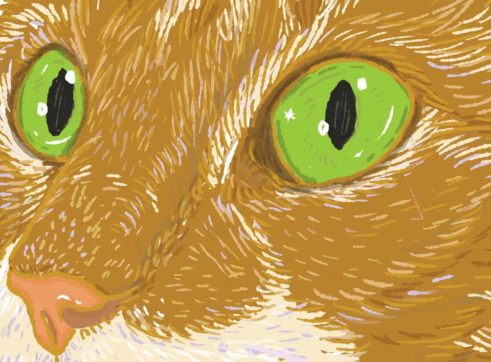 Pet_Portrait_17.jpg